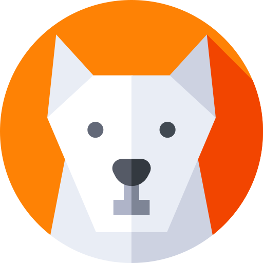 Account avatar